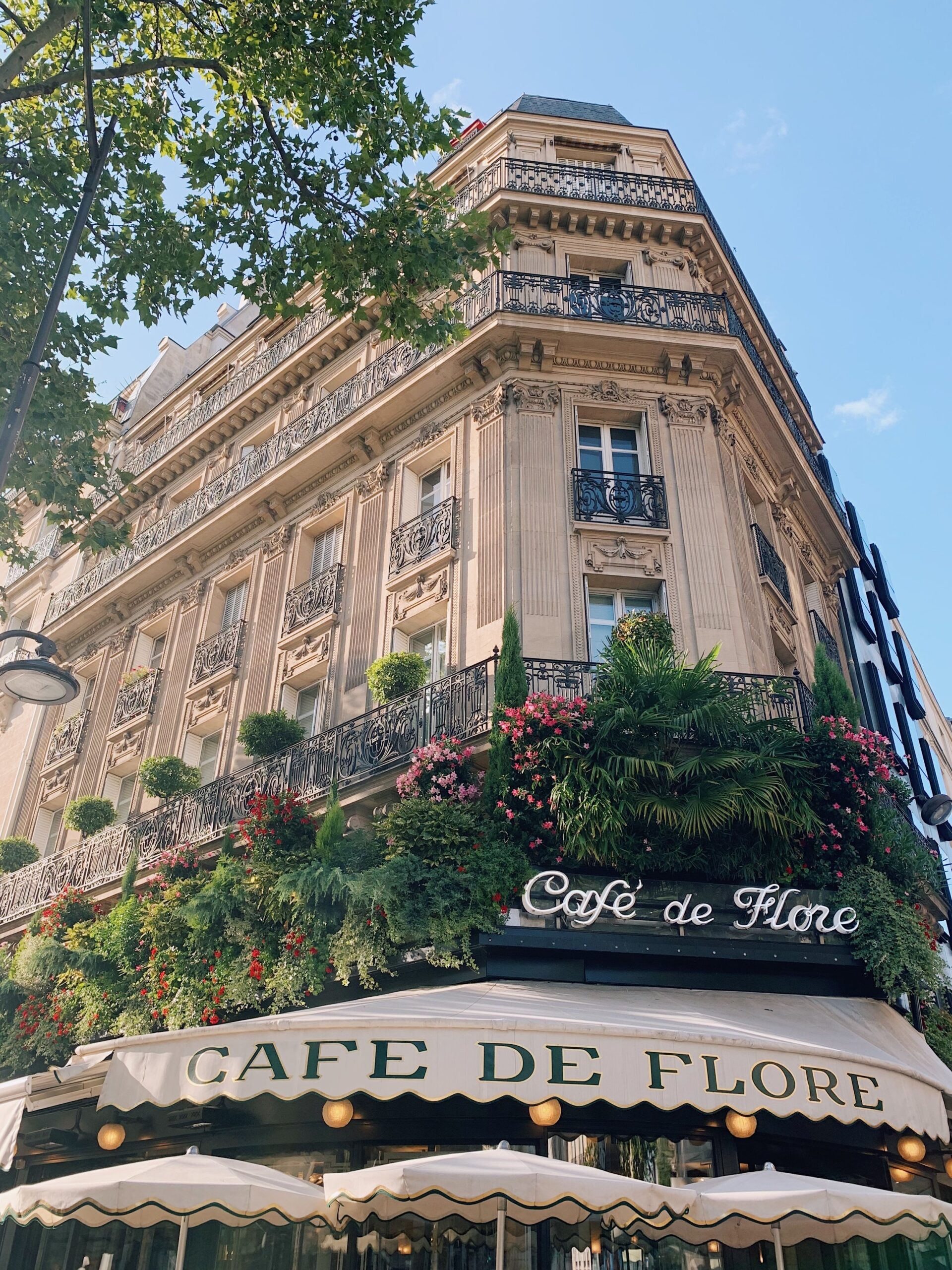 Café de Flore.